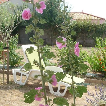 Chambre D'Hote Fleur De Potager Ле-Сабль-д’Олон Экстерьер фото