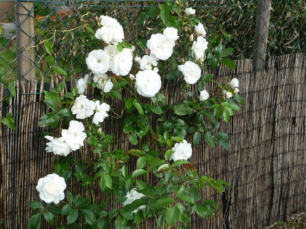 Chambre D'Hote Fleur De Potager Ле-Сабль-д’Олон Экстерьер фото
